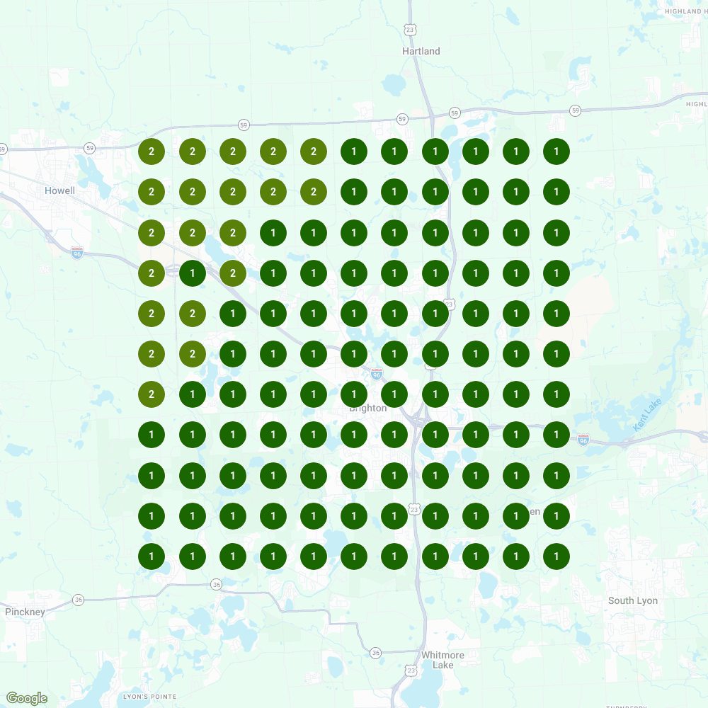 Rank map showing all-green top rankings across a local service area